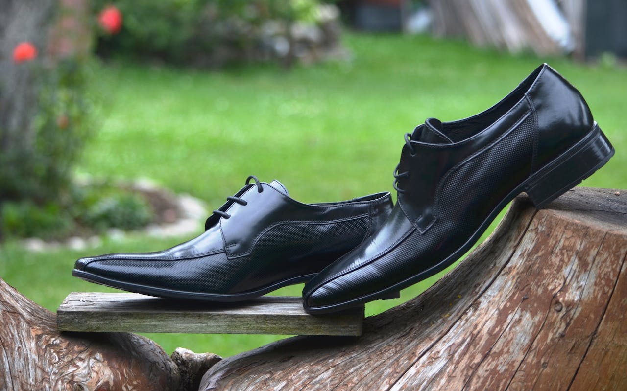 Stylish black leather shoes displayed elegantly on a wooden log outdoors.